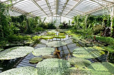 뮌헨-님펜부르크 식물원(보타니셔 가르텐 뮌헨-님펜부르크)